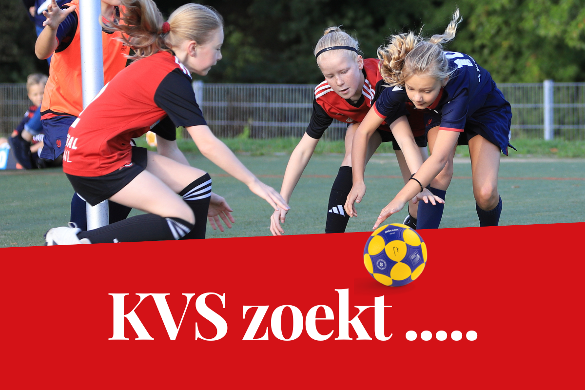 KVS zoekt Supervissen, help je mee?