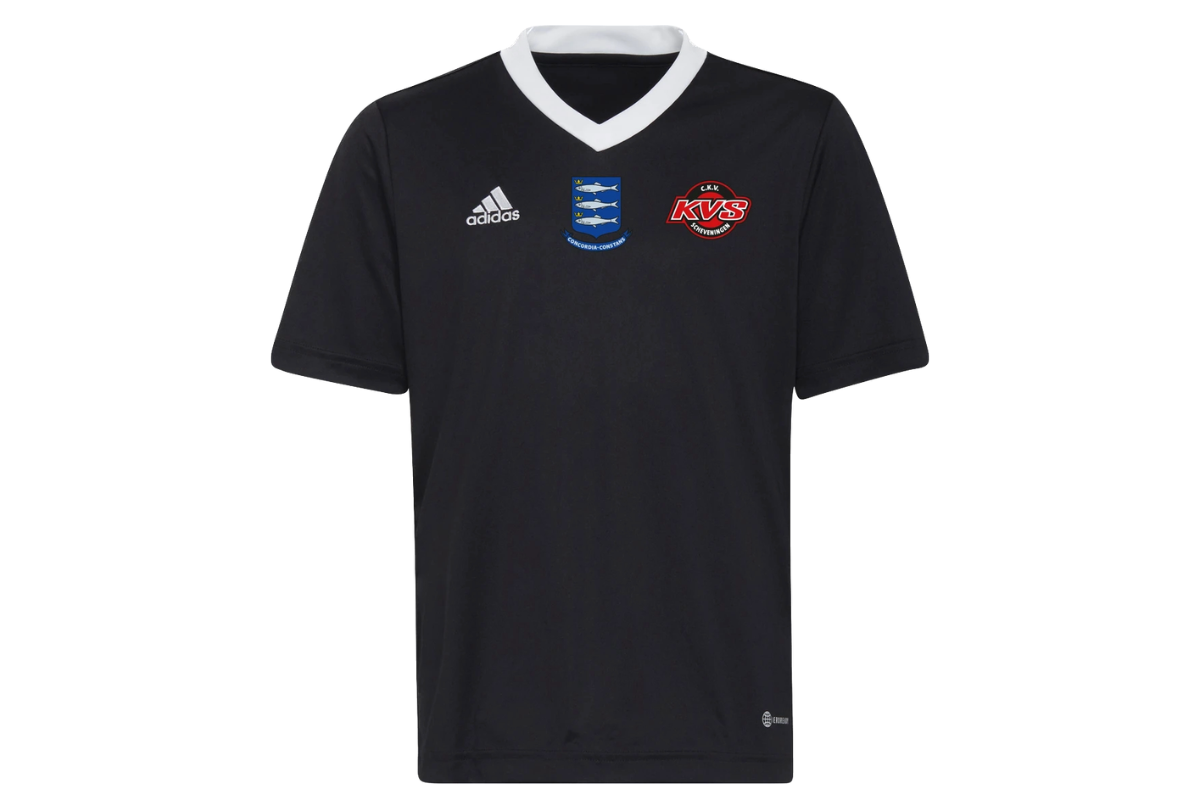 Teamindeling senioren 2026-2027